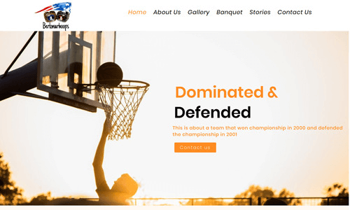 Portfolio project 13