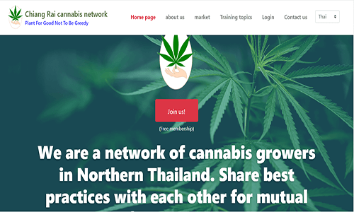 Portfolio project 27