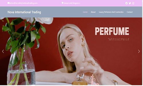 Portfolio project 34