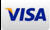 Visa card logo